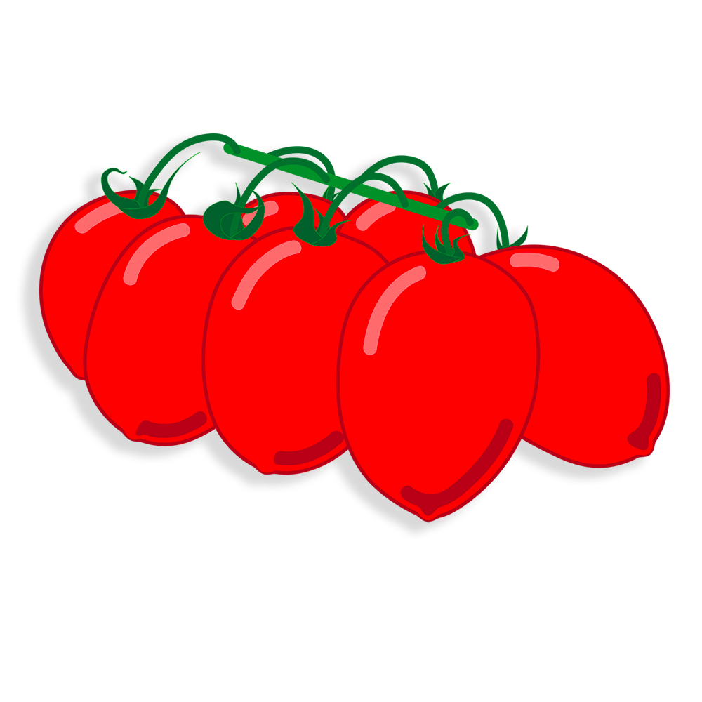 pomodoro_piccadilly_illustrazione